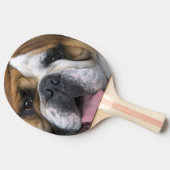 ベルギーのイギリスのブルドッグ。 卓球ラケット (横)