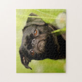 ベルギーのグリフォン犬。 ジグソーパズル (縦)