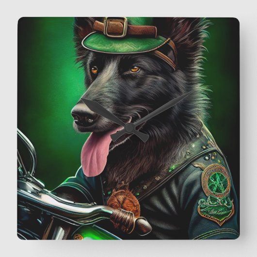 ベルギーのシェパードが自転車を運転する聖パトリックの日 スクエア壁時計 (正面)