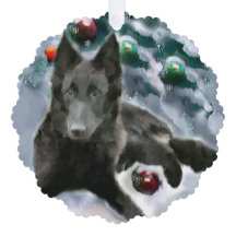 ベルギーのシェプドッグのクリスマスプレゼント