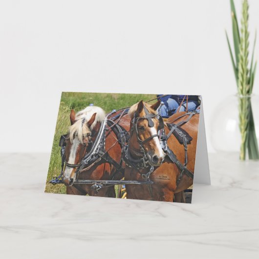 ベルギーのチーム カード (正面)