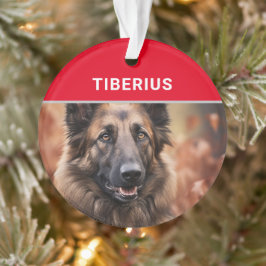 ベルギーのテルブレン犬の名前と写真のクリスマス オーナメント