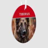 ベルギーのテルブレン犬の名前と写真のクリスマス オーナメント (正面)