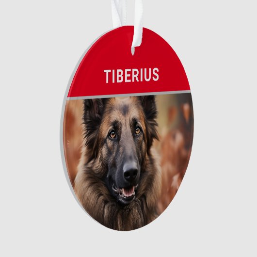 ベルギーのテルブレン犬の名前と写真のクリスマス オーナメント (正面)