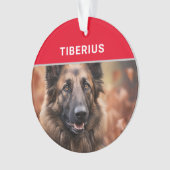ベルギーのテルブレン犬の名前と写真のクリスマス オーナメント (正面)