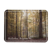 ベルギーのハレルボスの秋の木 マグネット (横)