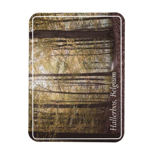 ベルギーのハレルボスの秋の木 マグネット (縦)
