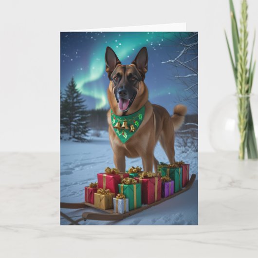 ベルギーのマリノイスドップレッティングカード カード (正面)