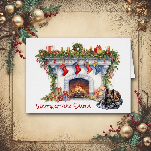 ベルギーのマリノイス犬がサンタを待つ