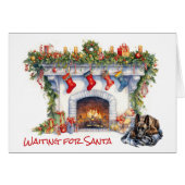 ベルギーのマリノイス犬がサンタを待つ (正面横)