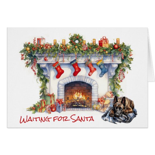 ベルギーのマリノイス犬がサンタを待つ (正面横)