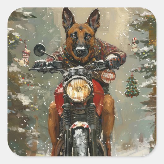 ベルギーのマリノイ犬オートバイのクリスマスに乗る スクエアシール (正面)