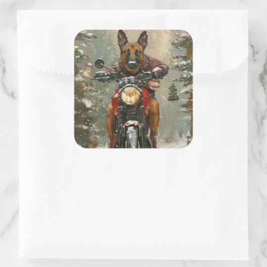 ベルギーのマリノイ犬オートバイのクリスマスに乗る スクエアシール (バッグ)