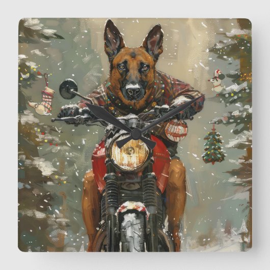 ベルギーのマリノイ犬オートバイのクリスマスに乗る スクエア壁時計 (正面)