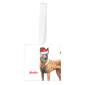 ベルギーのマリノワの名前2つの写真クリスマスホリデー キューブオーナメント (正面)