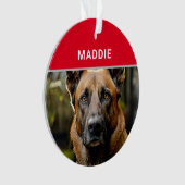 ベルギーのマリノワ犬の名前と写真のクリスマス オーナメント (正面)