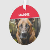 ベルギーのマリノワ犬の名前と写真のクリスマス オーナメント (正面)