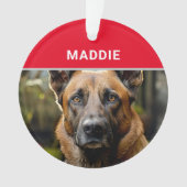 ベルギーのマリノワ犬の名前と写真のクリスマス オーナメント (正面)