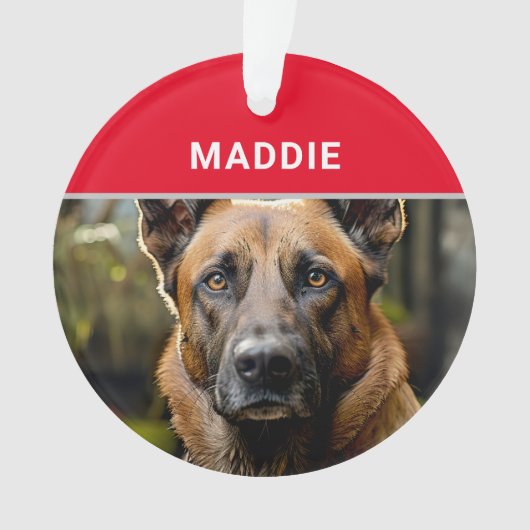 ベルギーのマリノワ犬の名前と写真のクリスマス オーナメント (正面)