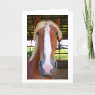 ベルギーの挨拶状 カード