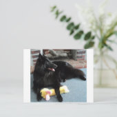 ベルギーの暖炉の羊飼い ポストカード (スタンド正面)