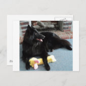 ベルギーの暖炉の羊飼い ポストカード (正面/裏面)