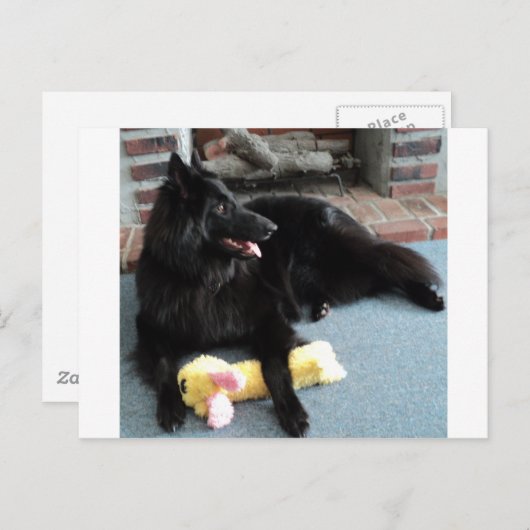 ベルギーの暖炉の羊飼い ポストカード (正面/裏面)