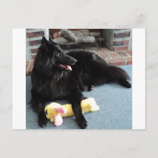 ベルギーの暖炉の羊飼い ポストカード (正面)