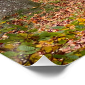 ベルギーの森の秋の季節の旅 ポスター (コーナー)