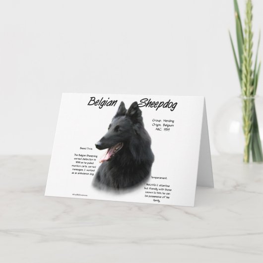 ベルギーの牧羊犬の歴史;すべての牧羊犬について シーズンカード (正面)