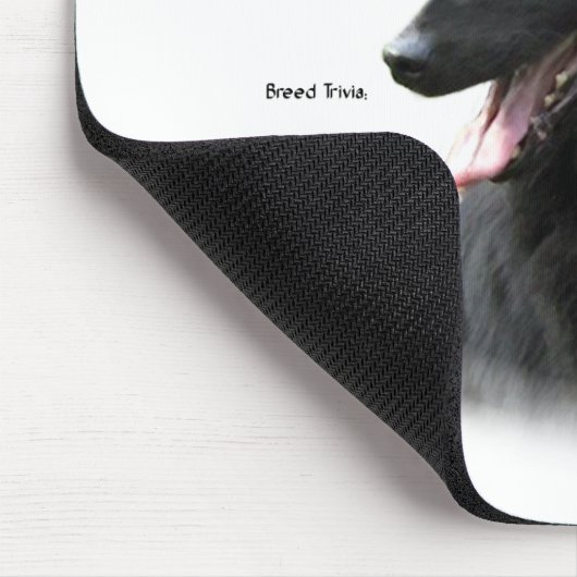 ベルギーの牧羊犬の歴史;すべての牧羊犬について マウスパッド (コーナー)