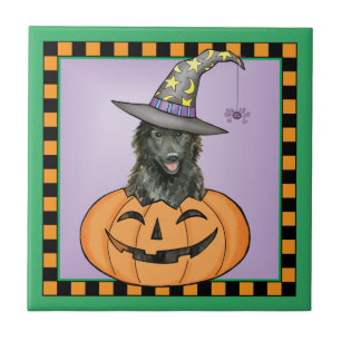 ベルギーの牧羊犬ハロウィーン タイル
