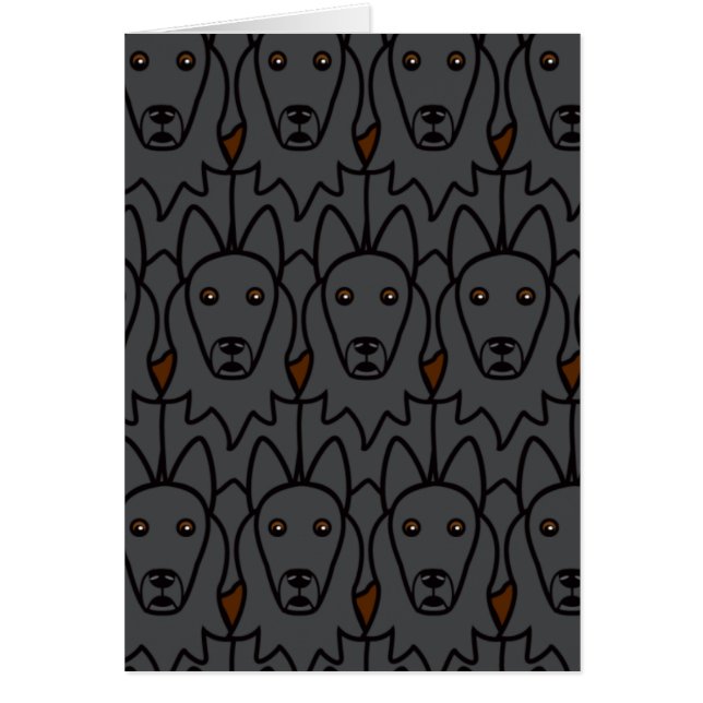 ベルギーの牧羊犬 (正面)