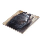 ベルギーの牧羊犬 タイル (側面)