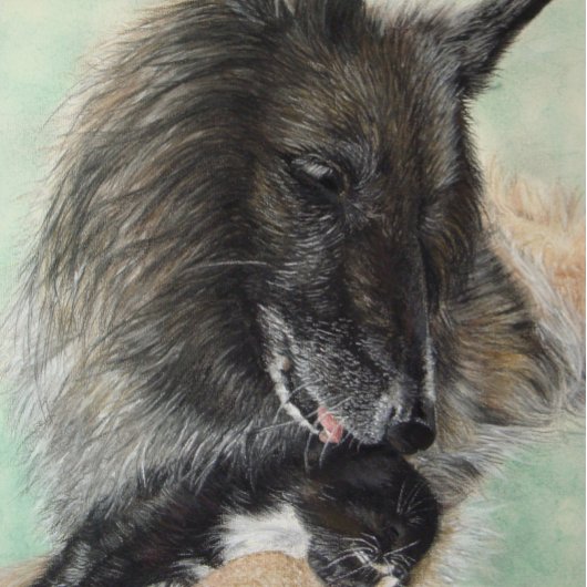 ベルギーの羊飼いの犬が黒い子猫を抱く ジグソーパズル