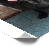 ベルギーの羊飼い通称「黒い狼」 ポスター (角)