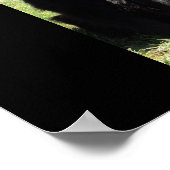 ベルギーの羊飼い通称「黒い狼」 ポスター (角)