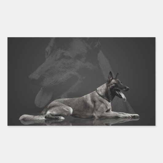 ベルギーの羊飼い – マリノワ 長方形シール (正面)