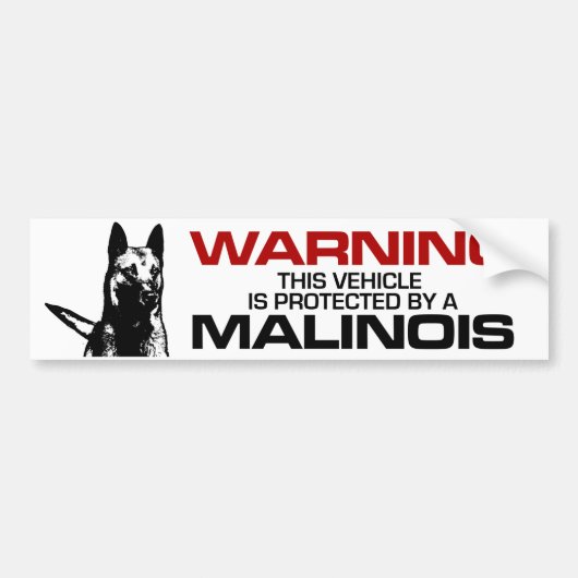 ベルギーの羊飼い- Malinoisのバンパーステッカー バンパーステッカー (正面)
