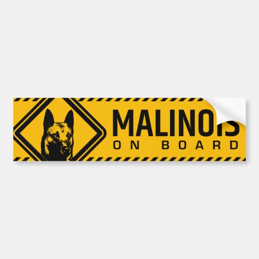ベルギーの羊飼い- Malinoisのバンパーステッカー バンパーステッカー (正面)