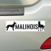 ベルギーの羊飼い- Malinoisのバンパーステッカー バンパーステッカー (車上)