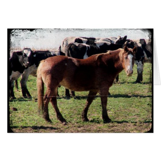 ベルギーの馬と乳牛 (正面横)