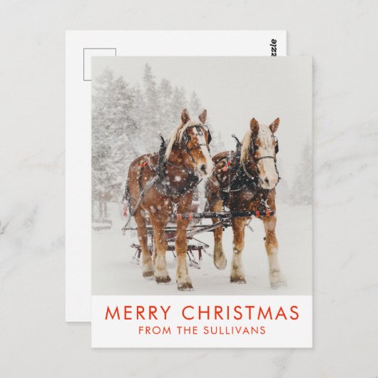 ベルギーの馬チーム冬のクリスマスシーン ポストカード (正面/裏面)