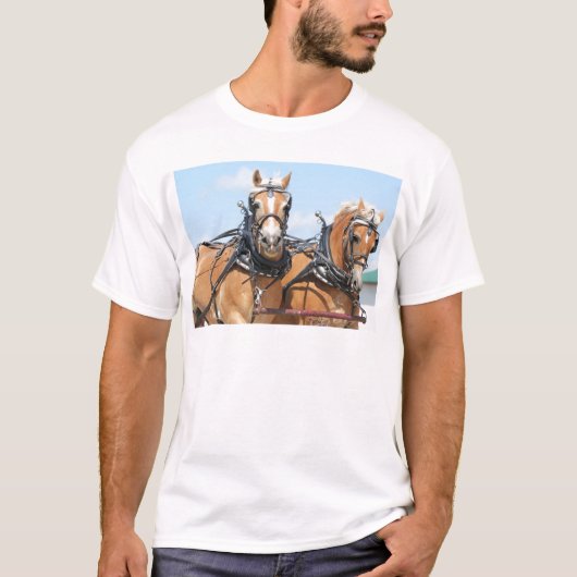 ベルギーの馬 Tシャツ (正面)