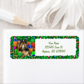 ベルギーのTervurenクリスマスオープニングラベル ラベル (インサイチュ)