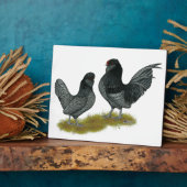 ベルギーウォーターマールバンタム フォトプラーク (側面)