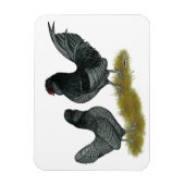 ベルギーウォーターマールバンタム マグネット (縦)