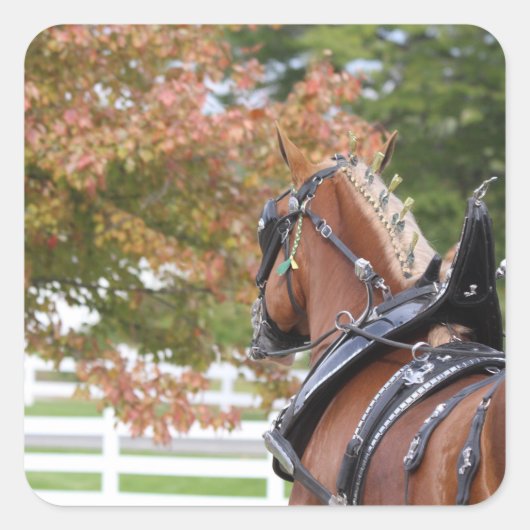 ベルギーウマ荷車を引くステッカー スクエアシール (正面)