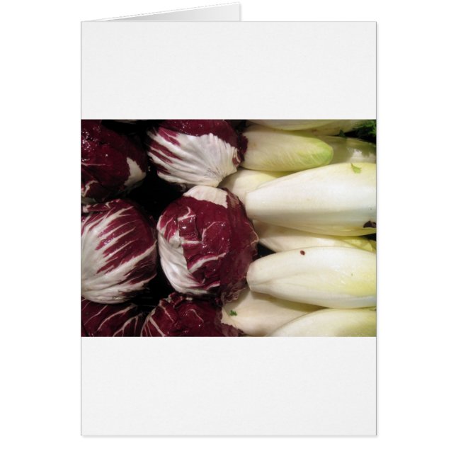 ベルギーエンディゴ (正面)