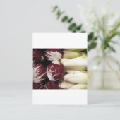 ベルギーエンディゴ ポストカード (スタンド正面)